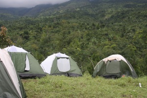 Tips Aman dan Sehat sa�at Berkemah ( Camping )